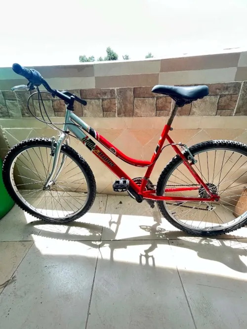 Vélo 26 pouce