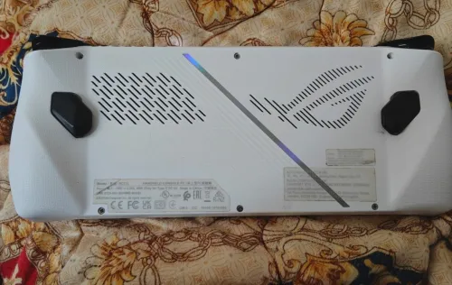 rog ally