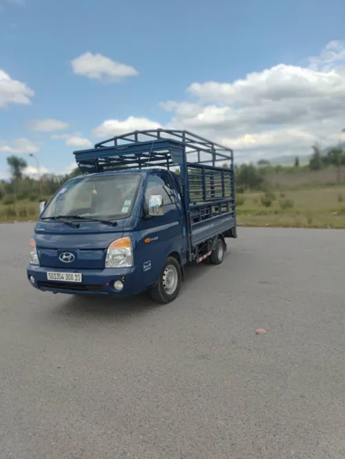 H100 H100 2008