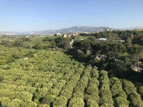 Vente Appartement F4 Tizi Ouzou Tizi ouzou