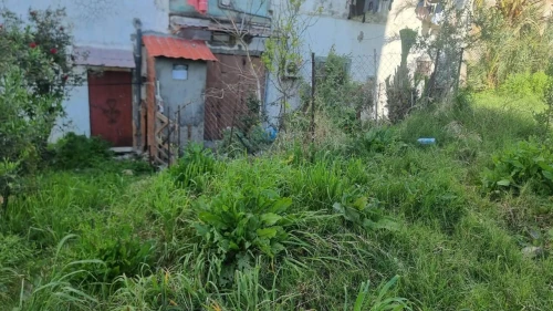 Vente Local Jijel El aouana