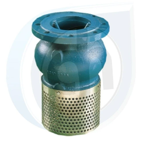 Clapet anti-retour pied de crépine