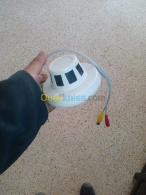 portail électrique / télésurveillance / système d'alarme