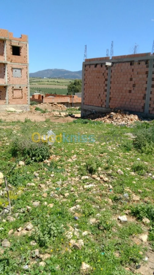 Vente Terrain Tlemcen Chetouane