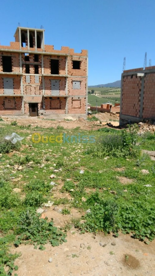 Vente Terrain Tlemcen Chetouane