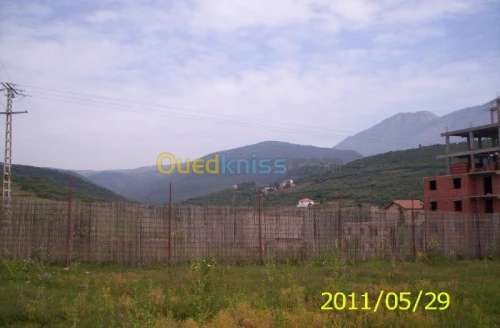 Vente Terrain Béjaïa El kseur