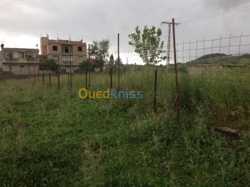 Vente Terrain Béjaïa El kseur