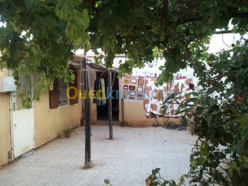 Vente Niveau De Villa F4 Oran Bethioua