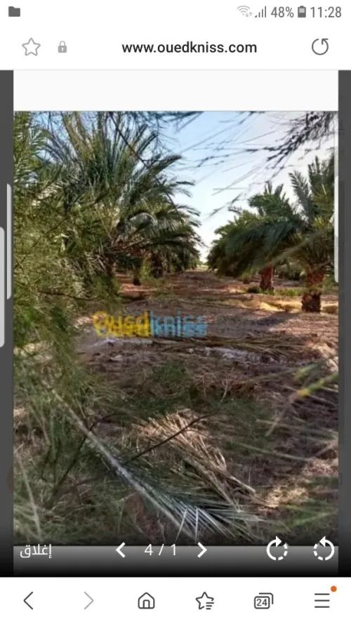 Vente Terrain Agricole Biskra Oumache