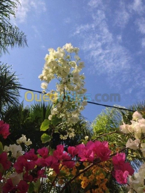 Entreprise des Espaces Verts