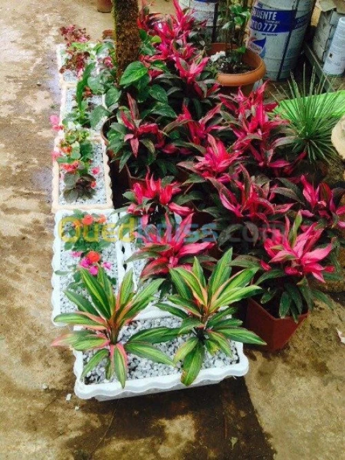 Entreprise des Espaces Verts