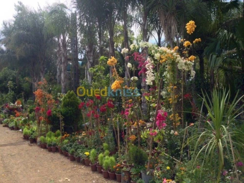 Entreprise des Espaces Verts