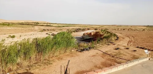 Vente Terrain Agricole Djelfa Ain el ibel