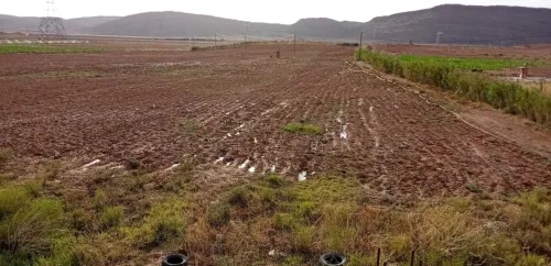 Vente Terrain Agricole Djelfa Ain el ibel