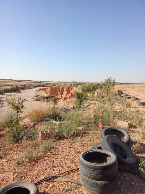 Vente Terrain Agricole Djelfa Ain el ibel
