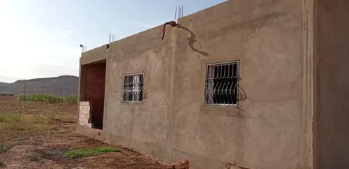Vente Terrain Agricole Djelfa Ain el ibel
