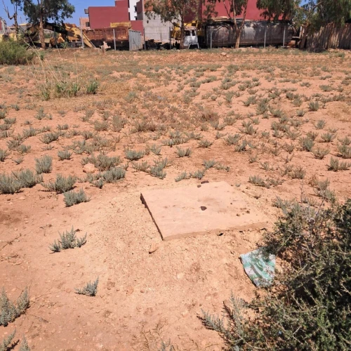 Vente Terrain Tlemcen Zenata