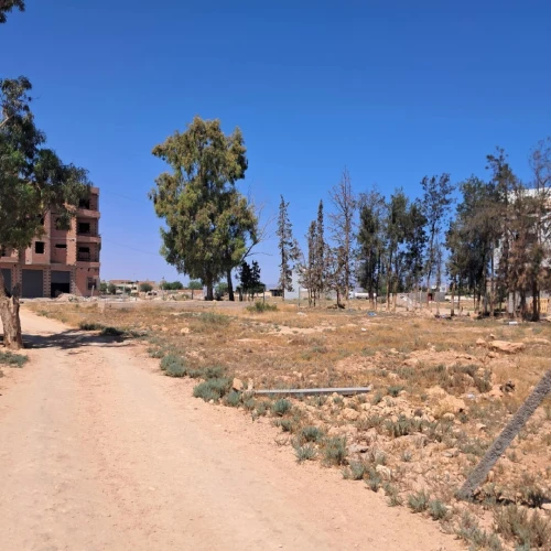 Vente Terrain Tlemcen Zenata
