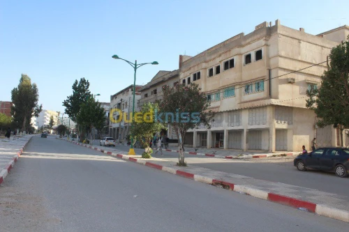 Vente Villa Tebessa Tebessa