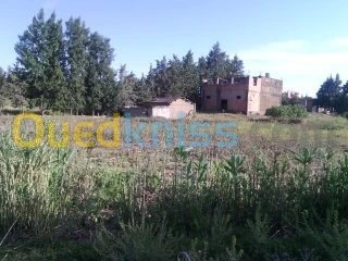 Vente Villa Medea Beni slimane