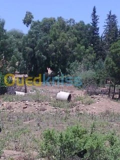 Vente Villa Medea Beni slimane