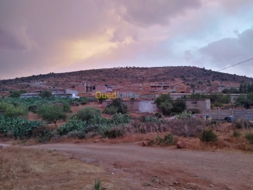 Vente Terrain Tlemcen Tlemcen
