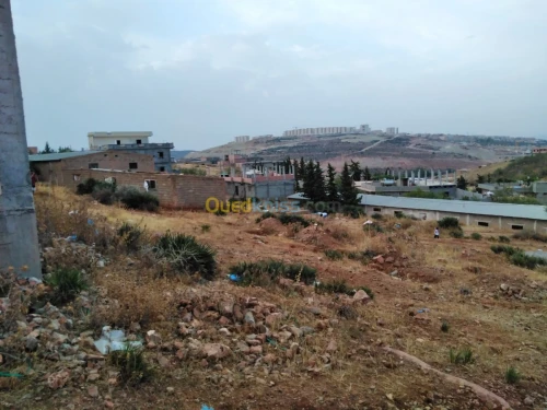 Vente Terrain Tlemcen Tlemcen