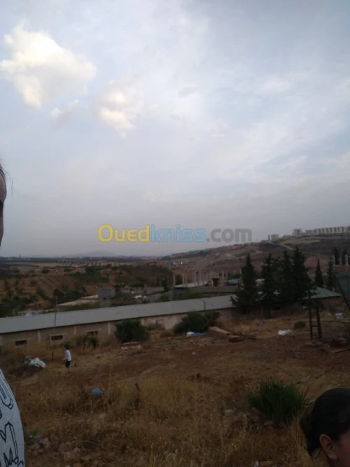 Vente Terrain Tlemcen Tlemcen