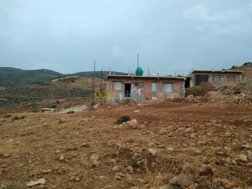 Vente Terrain Tlemcen Tlemcen