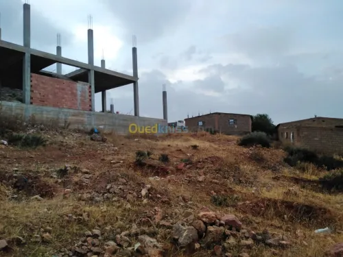 Vente Terrain Tlemcen Tlemcen