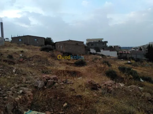 Vente Terrain Tlemcen Tlemcen