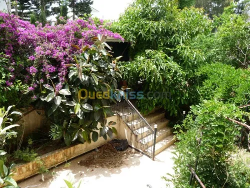 Location Appartement F5 Alger Hydra