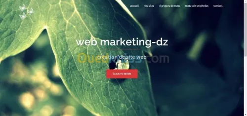 création site web