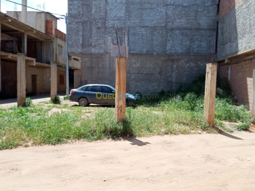 Vente Terrain Tipaza Fouka