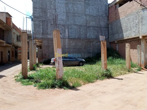 Vente Terrain Tipaza Fouka