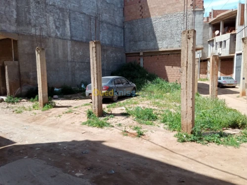 Vente Terrain Tipaza Fouka