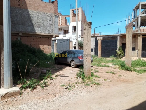 Vente Terrain Tipaza Fouka