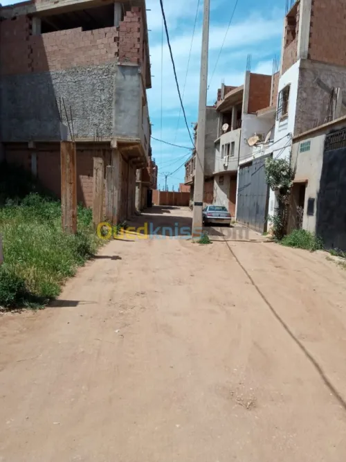 Vente Terrain Tipaza Fouka