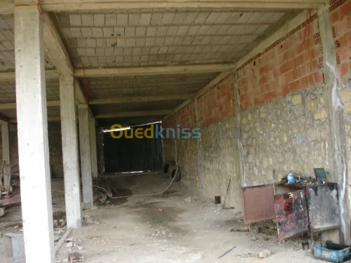 Vente Villa Medea Zoubiria