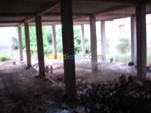 Vente Villa Medea Zoubiria