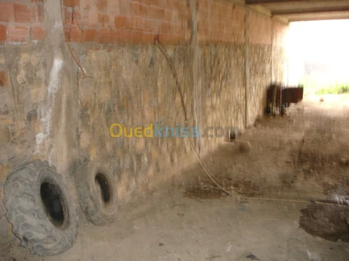 Vente Villa Medea Zoubiria