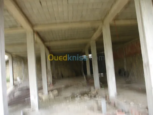 Vente Villa Medea Zoubiria