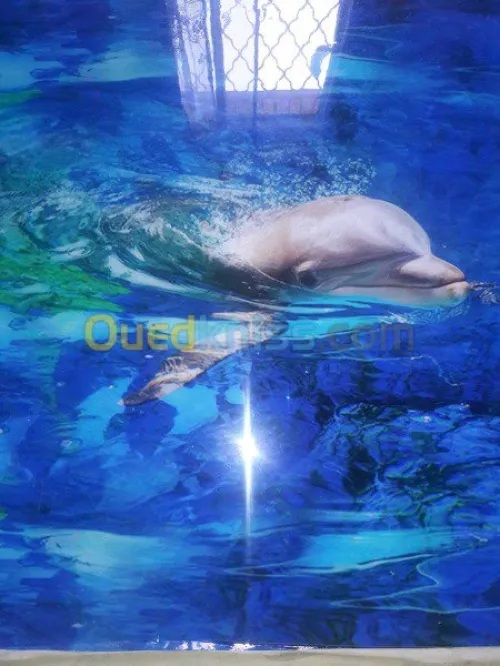 Epoxy 3D Et Menuiserie Alluminium 