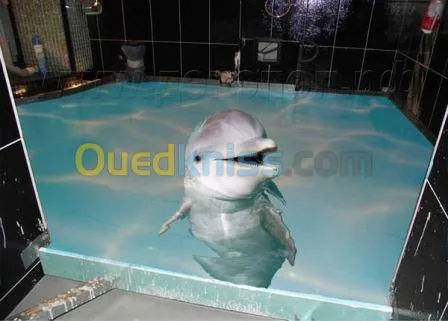 Epoxy 3D Et Menuiserie Alluminium 