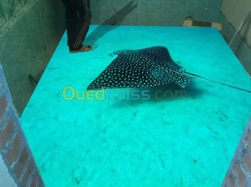 Epoxy 3D Et Menuiserie Alluminium 