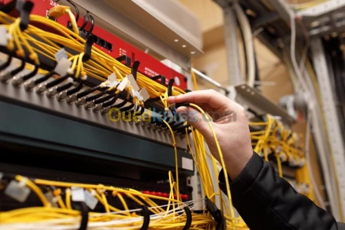 réseaux et electricité 