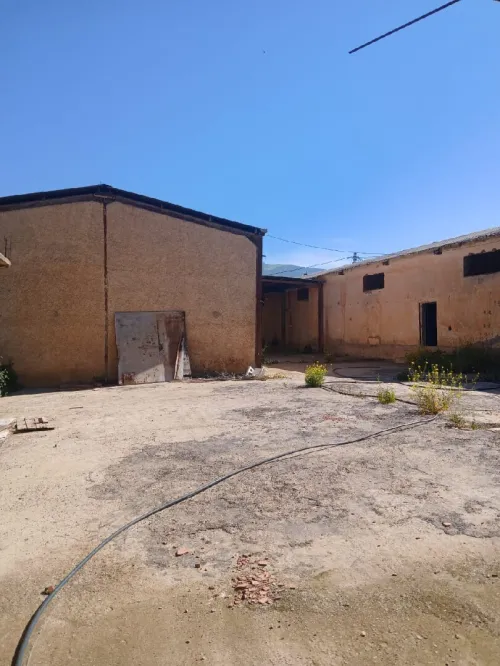 Location Hangar - Usine Aïn Defla Ain soltane