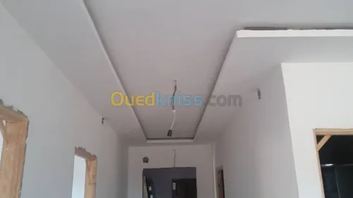 plaquist et dicoration de ba13