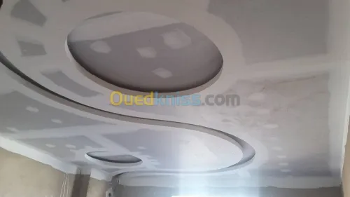 plaquist et dicoration de ba13