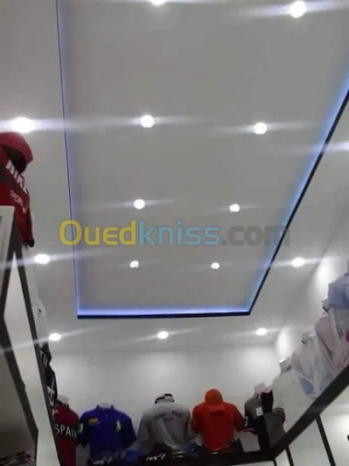 plaquist et dicoration de ba13